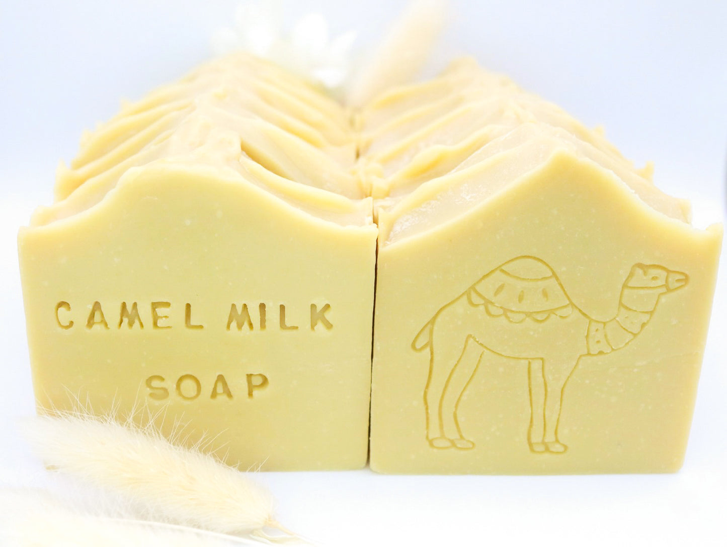 Camel Milk Anti-Aging Soap